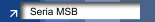 Seria MSB